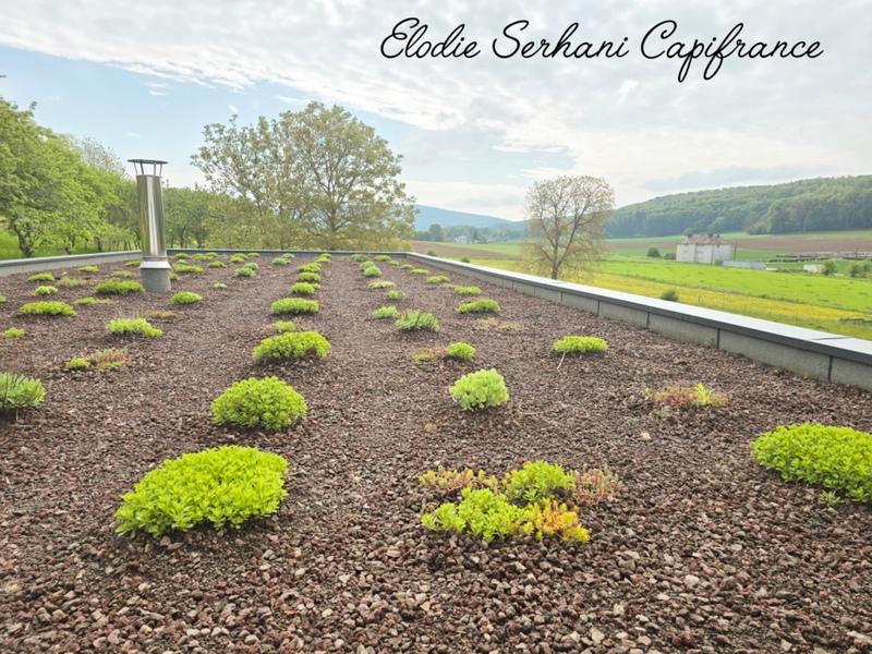 Maison - 224 m² - 4 pièces