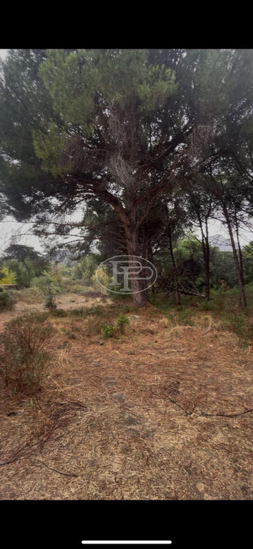 Appartement - 88 m² - 4 pièces