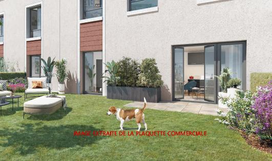 Appartement - 65 m² - 3 pièces