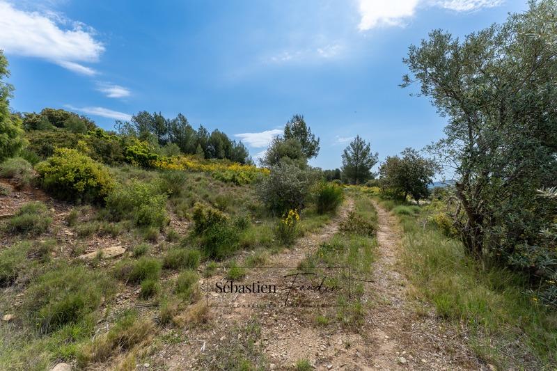 Terrain agricole - 7 720 m²