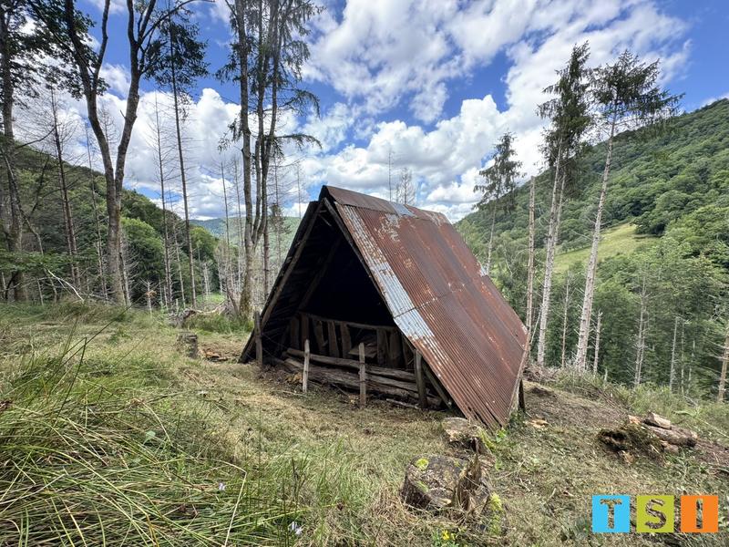 Maison - 25 m² - 1 pièce