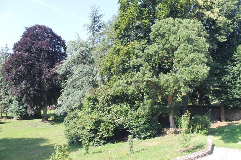 Château - 693 m² - 26 pièces