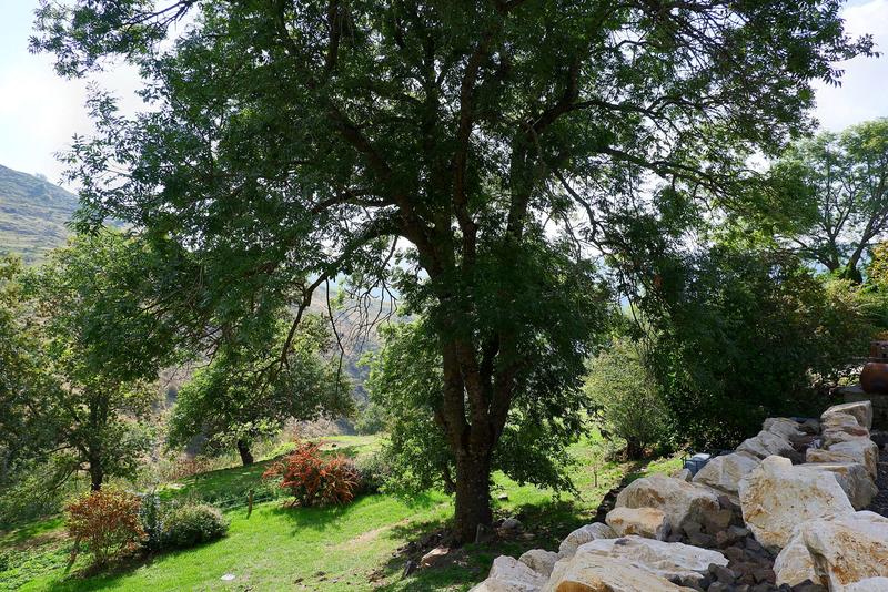 Maison - 284 m² - 5 pièces