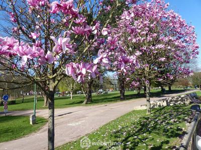 Appartement - 99 m² - 5 pièces