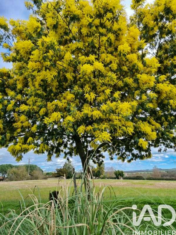 Maison de campagne - 124 m² - 4 pièces