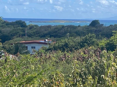 Terrain constructible - 1 835 m²