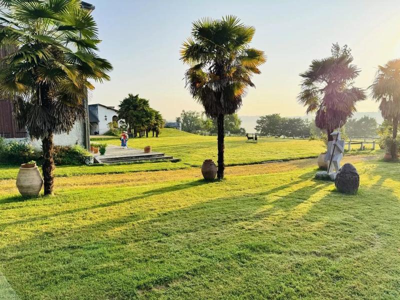 Maison - 365 m² - 8 pièces