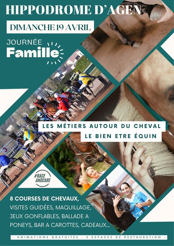 Journée famille autour des métiers du cheval