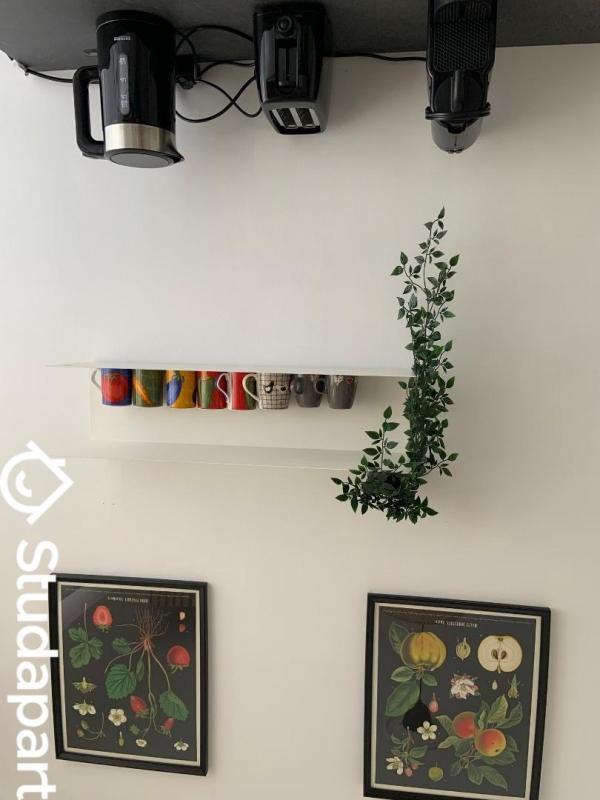 Appartement - 35 m² - 1 pièce