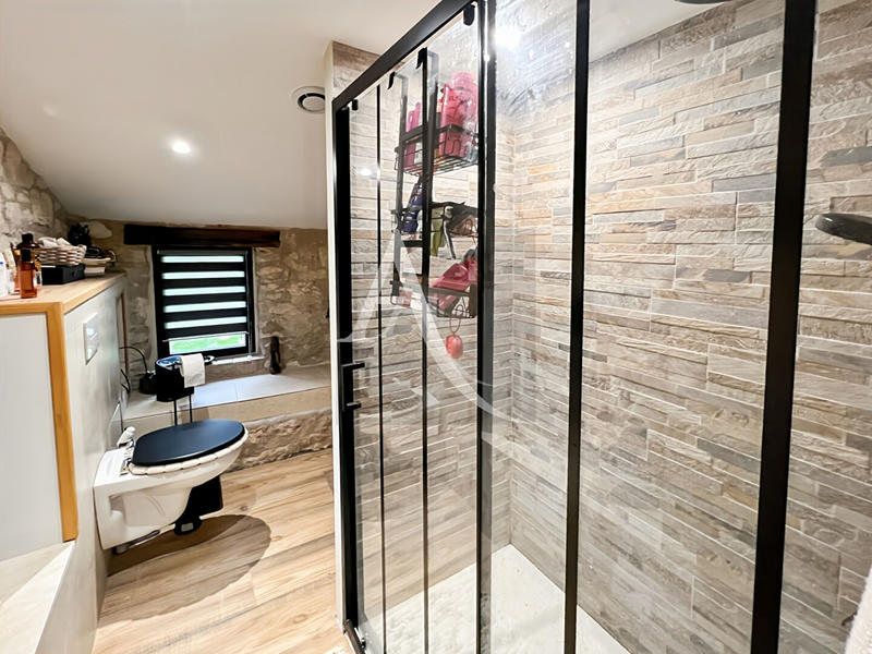 Maison - 230 m² - 8 pièces