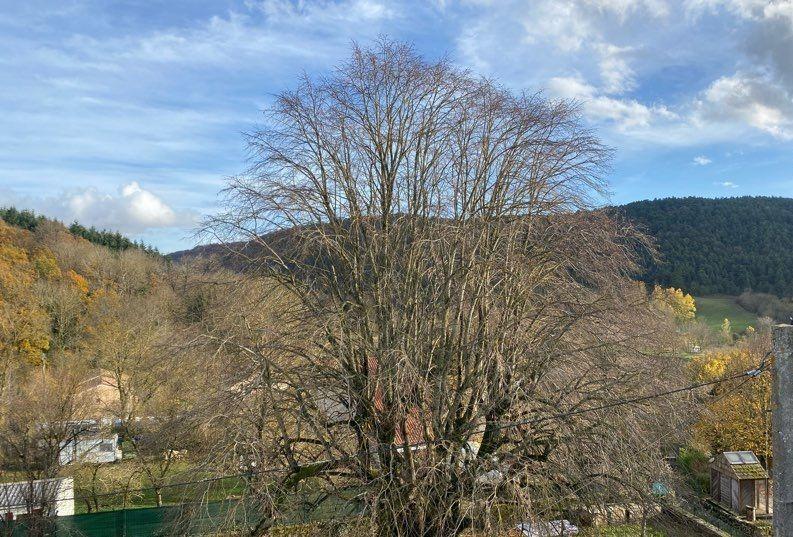 Maison de village - 110 m² - 5 pièces