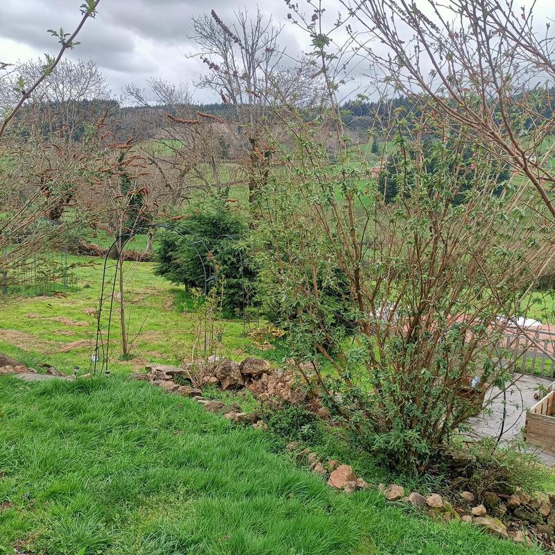 Maison de campagne - 200 m² - 8 pièces