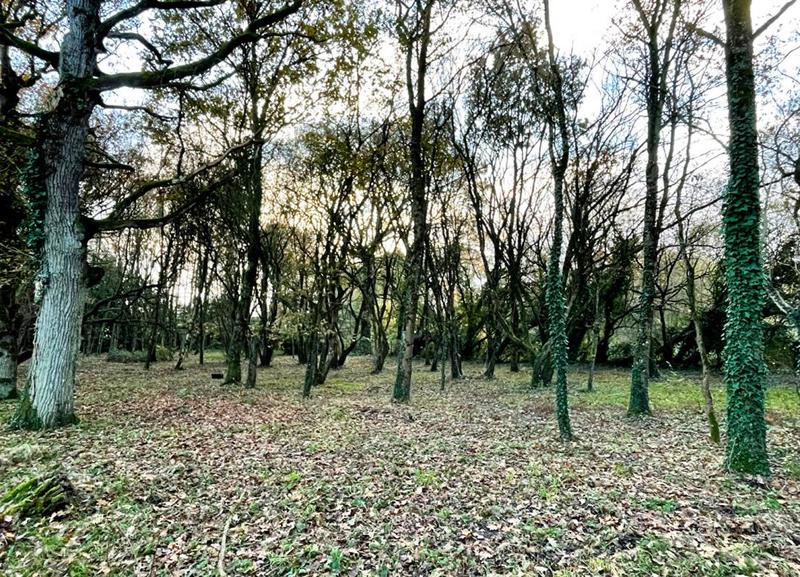 Terrain de loisirs - 8 950 m²