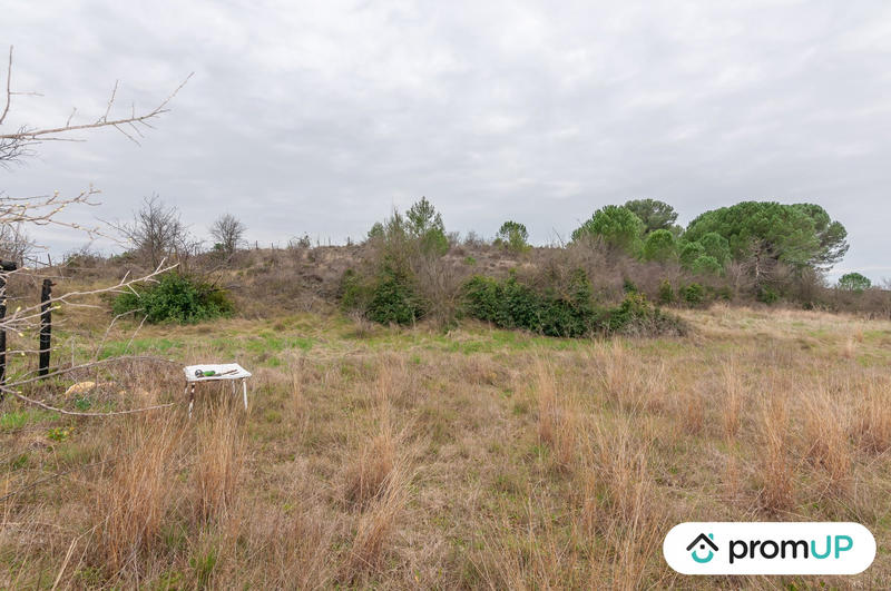 Terrain agricole - 10 601 m²