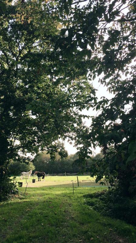 Maison de campagne - 160 m² - 6 pièces