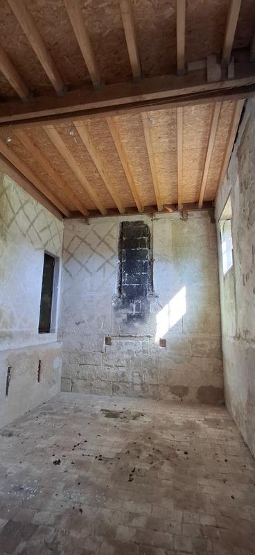 Château - 1 800 m² - 30 pièces