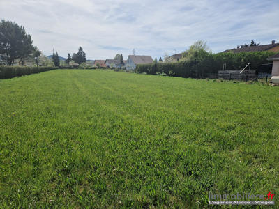 Terrain - 3 010 m²