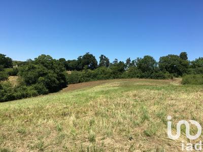 Terrain - 16 285 m²