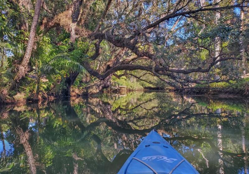 Balade nature en kayak