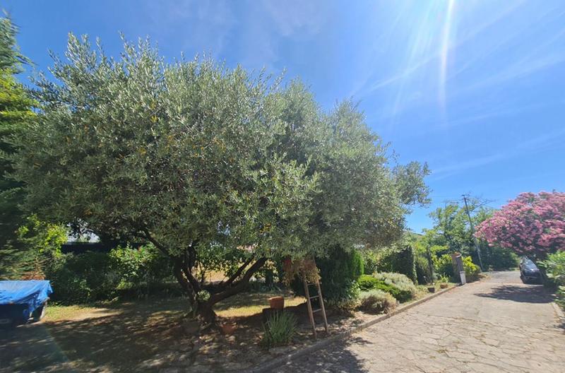 Maison - 141 m² - 7 pièces