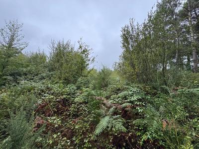 Terrain - 51 575 m²