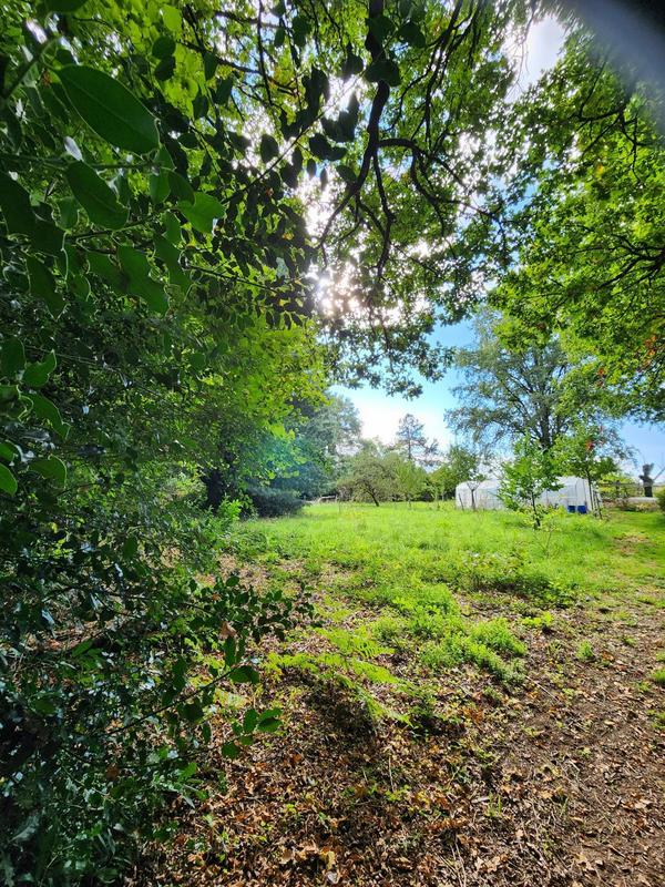 Maison - 235 m² - 8 pièces