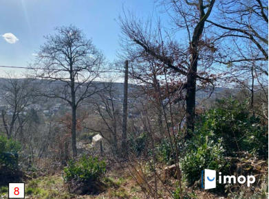 Terrain constructible