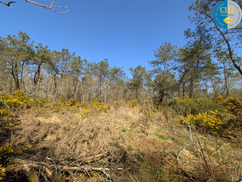 Terrain - 24 900 m²