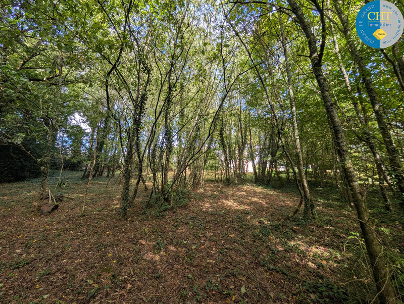 Maison - 25 m² - 1 pièce