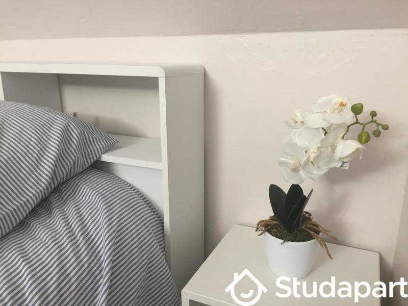 Appartement - 24 m² - 2 pièces