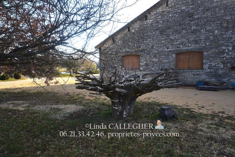 Propriété - 460 m² - 11 pièces