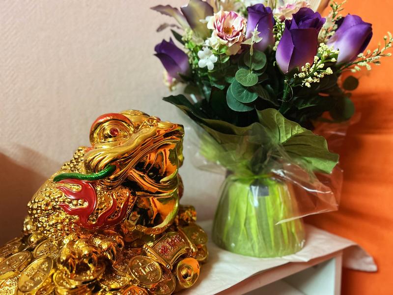 La sirein bien-être