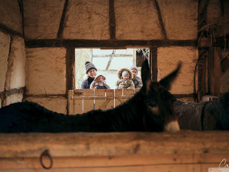 L'arrivée de saint Nicolas