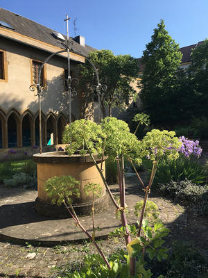 Cloître des Récollets - Société Française d'Ethnopharmacologie