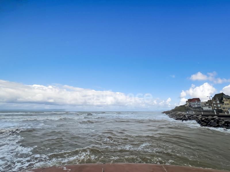 Studio - 25 m² - 2 pièces