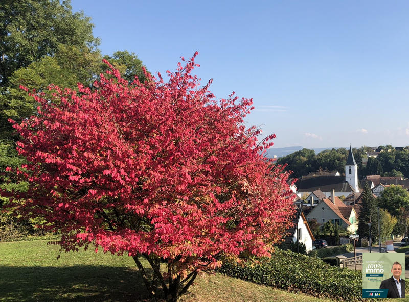 Maison - 240 m² - 5 pièces