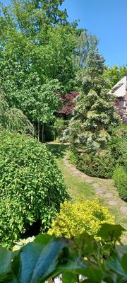 Maison - 262 m² - 12 pièces