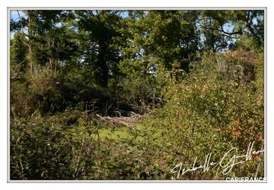 Longère - 170 m² - 6 pièces