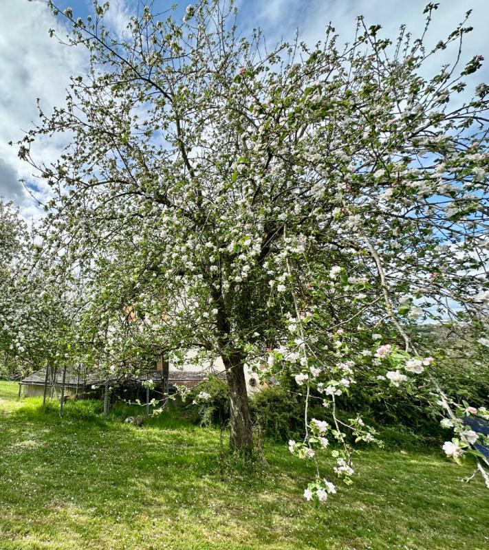 Maison - 196 m² - 7 pièces