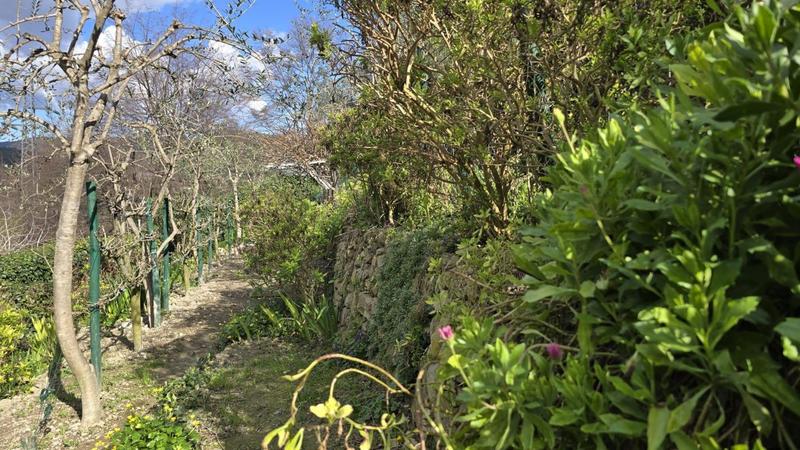 Villa - 129 m² - 4 pièces