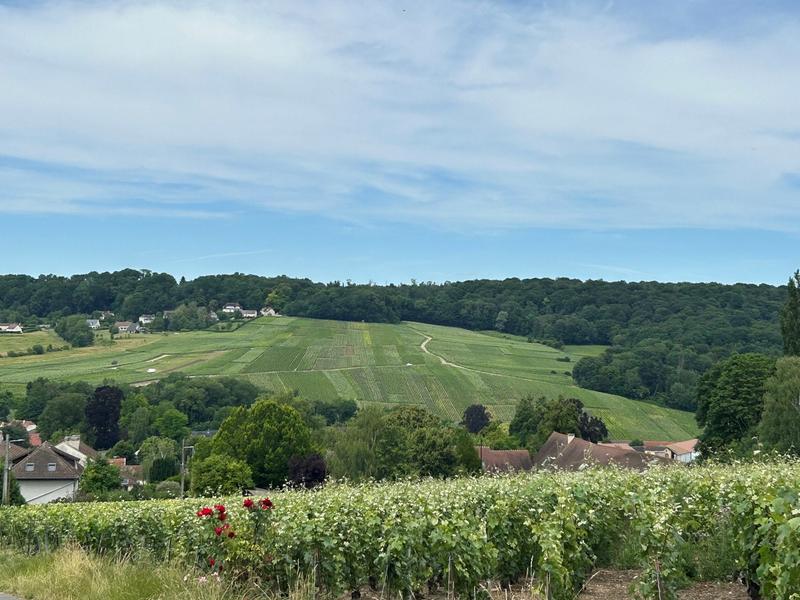 Maison - 199 m² - 8 pièces