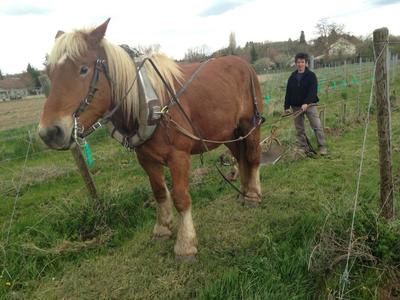 Domaine des Bourrats