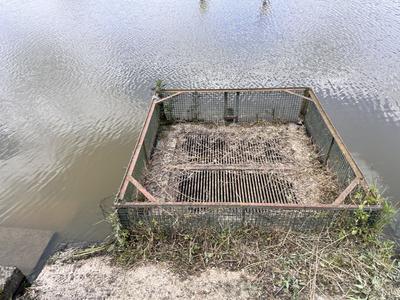 Terrain de loisirs - 37 090 m²