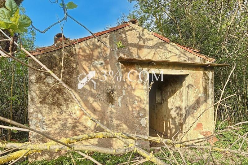 Terrain de loisirs - 4 558 m²