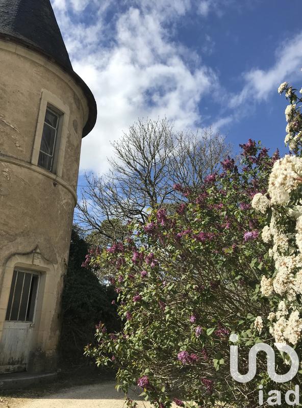 Château - 4 200 m² - 72 pièces