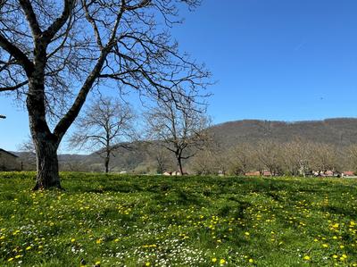 Terrain constructible - 1 052 m²