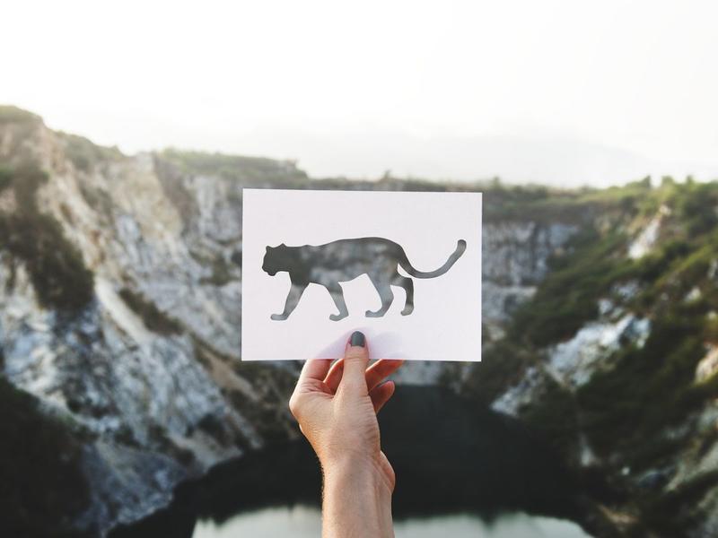 Atelier découverte : premiers pas avec découpe vinyle (flocage et stickers)