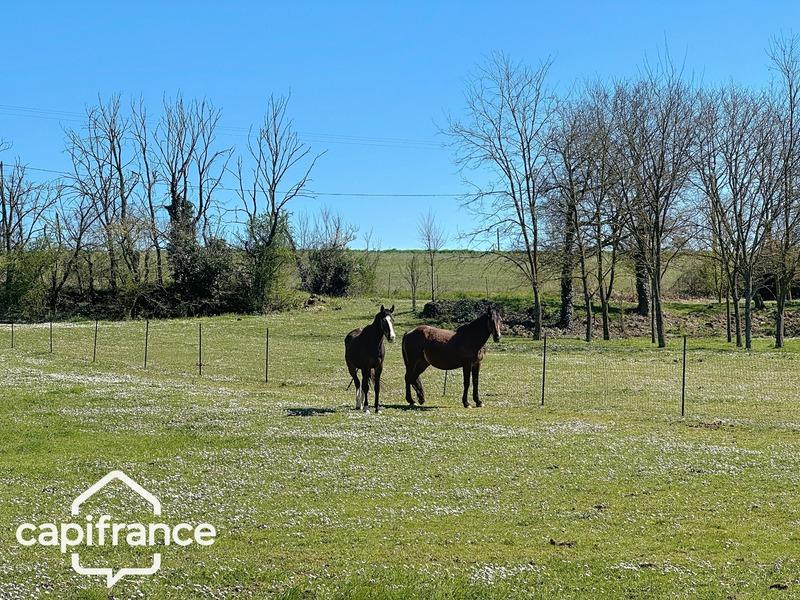 Maison - 291 m² - 12 pièces