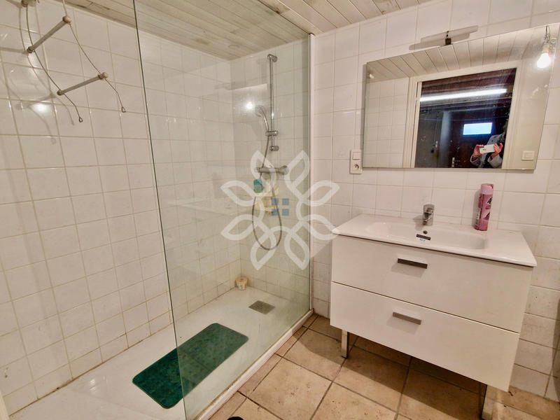 Propriété - 300 m² - 10 pièces