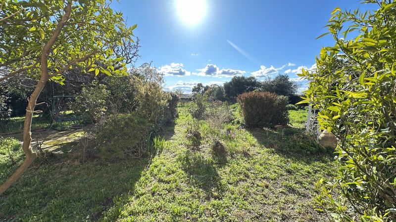 Maison - 204 m² - 5 pièces